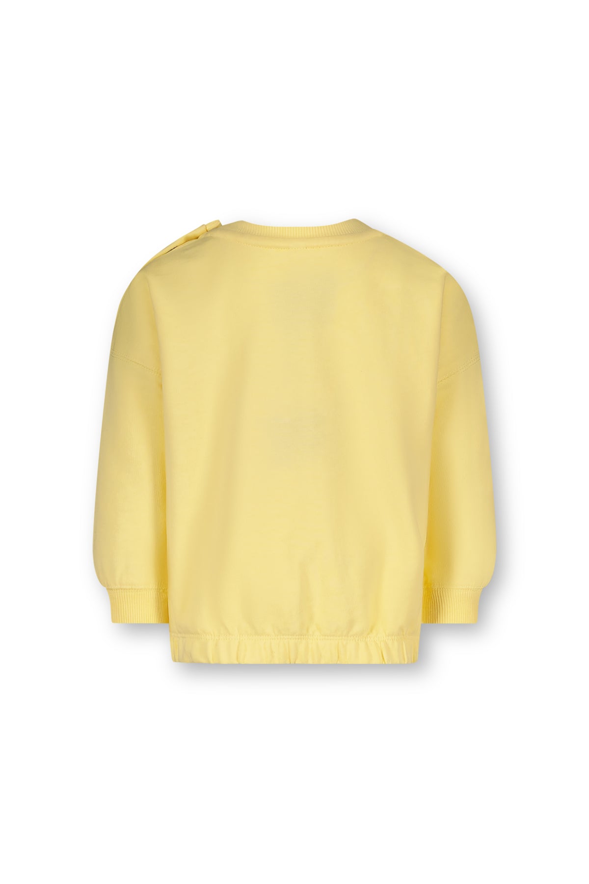 The New Chapter - Sweater Bodhi | Geel Birdie