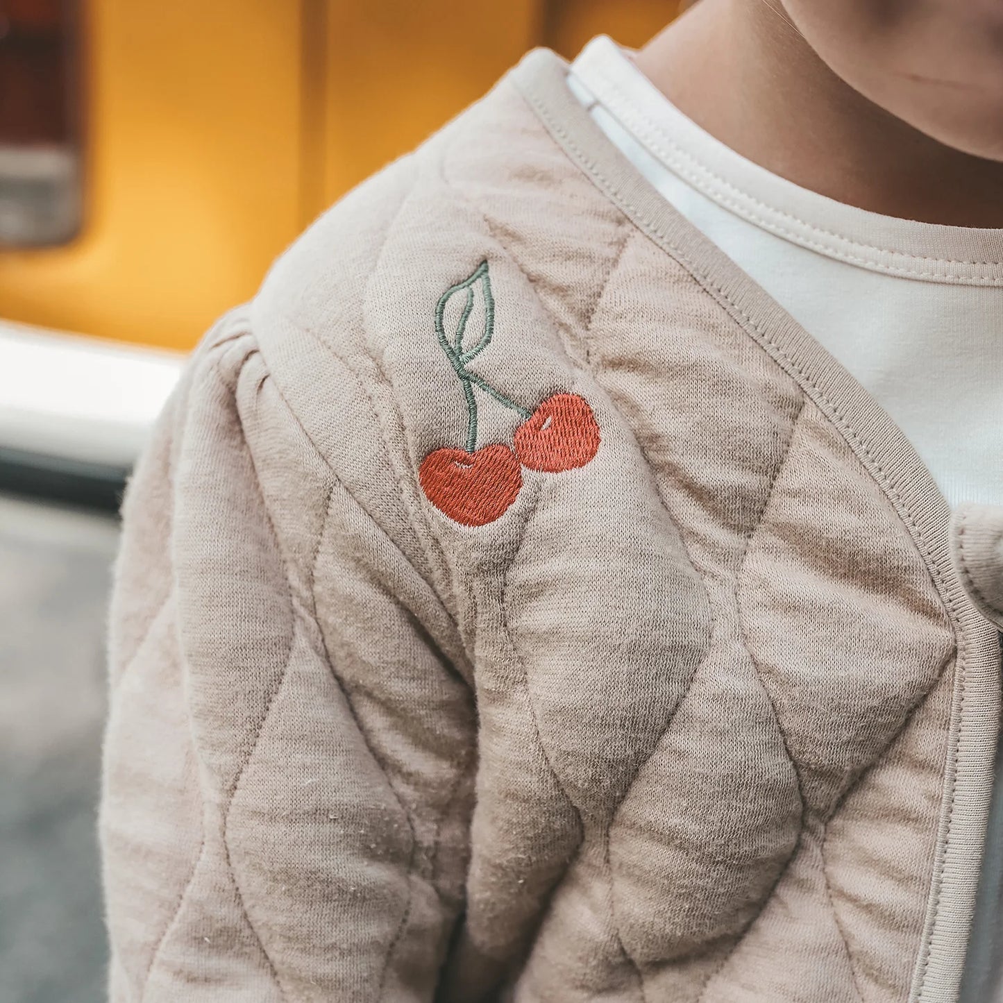Your Wishes - Quilted Jersey Embroidered Jacket | Dune